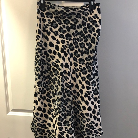 Zara Dresses & Skirts - Midi Zara Skirt